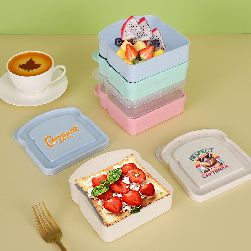 كابيبارا ساندويتش الغذاء حقيبة - مراجعة Food Storage Plastic Container وسعره