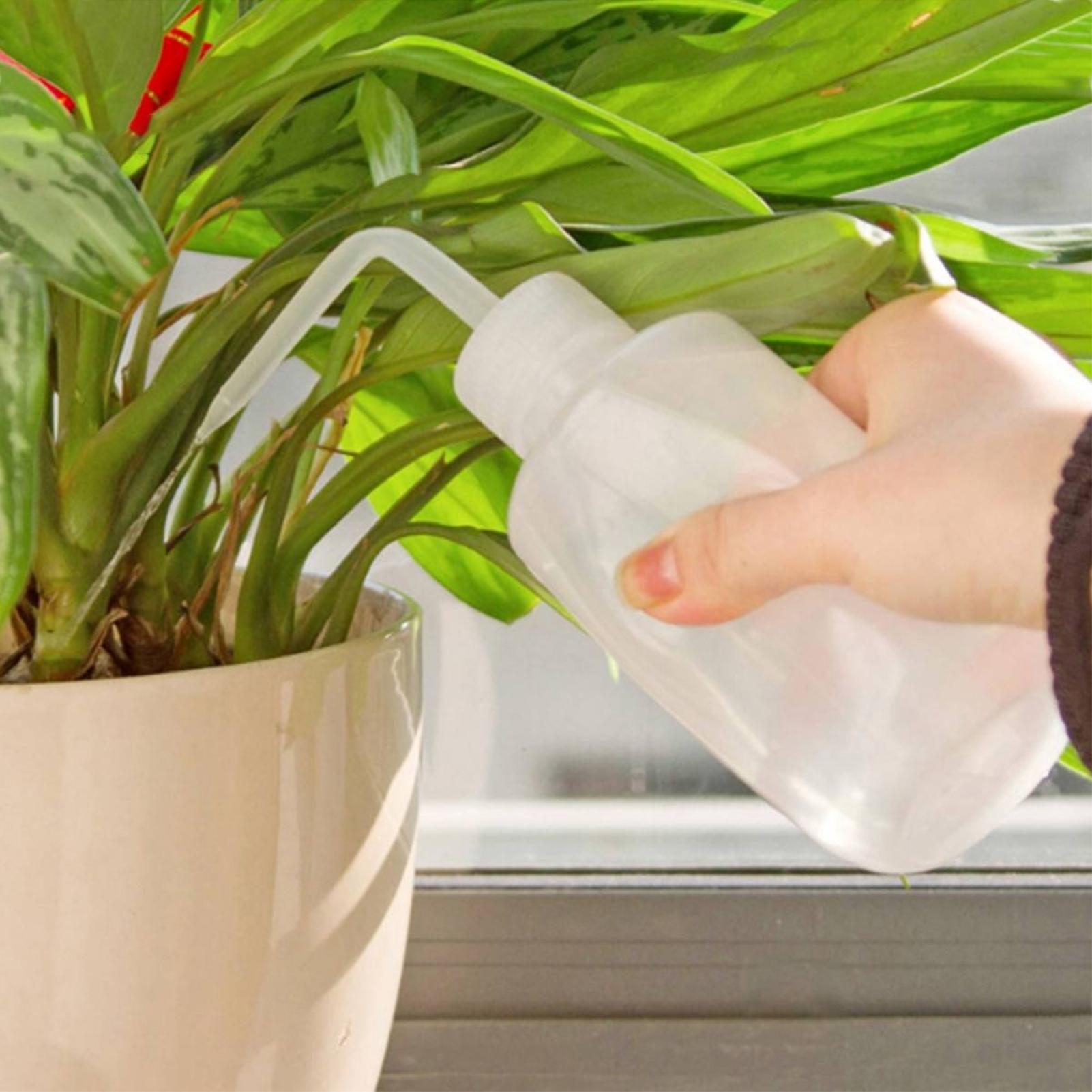 زجاجة غسيل بالضغط 250 مل، زجاج - مراجعة Food Storage Food Safety وسعره