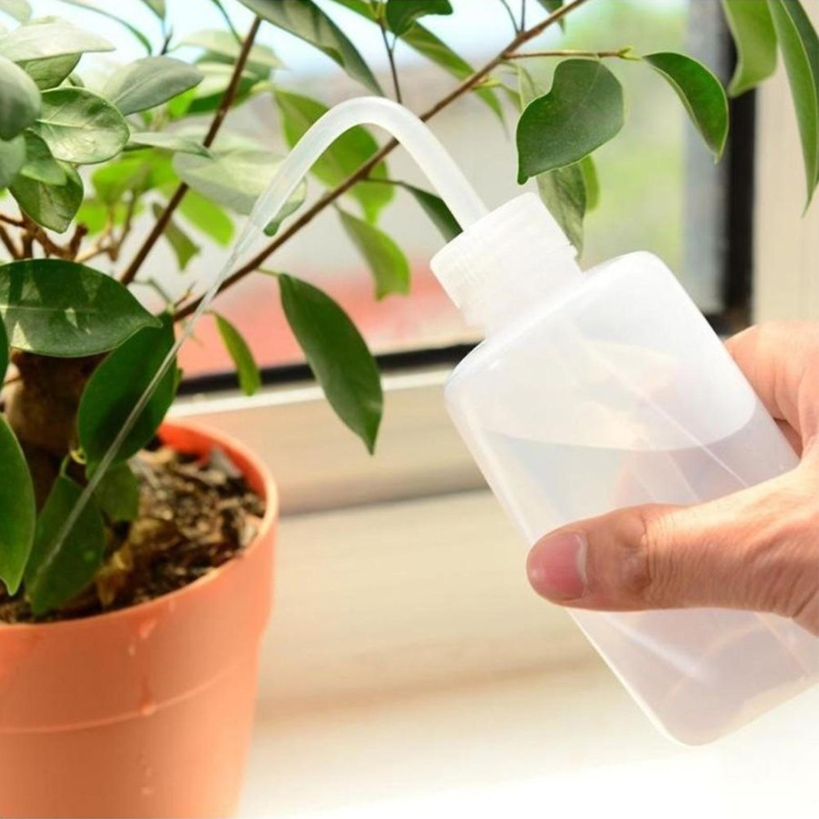 زجاجة غسيل بالضغط 250 مل، زجاج - مراجعة Food Storage Food Safety وسعره