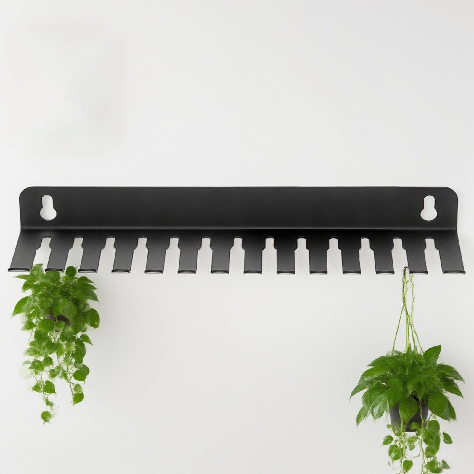 حامل منظم الحبل 13 فتحة منظم ك - مراجعة Food Storage Management وسعره