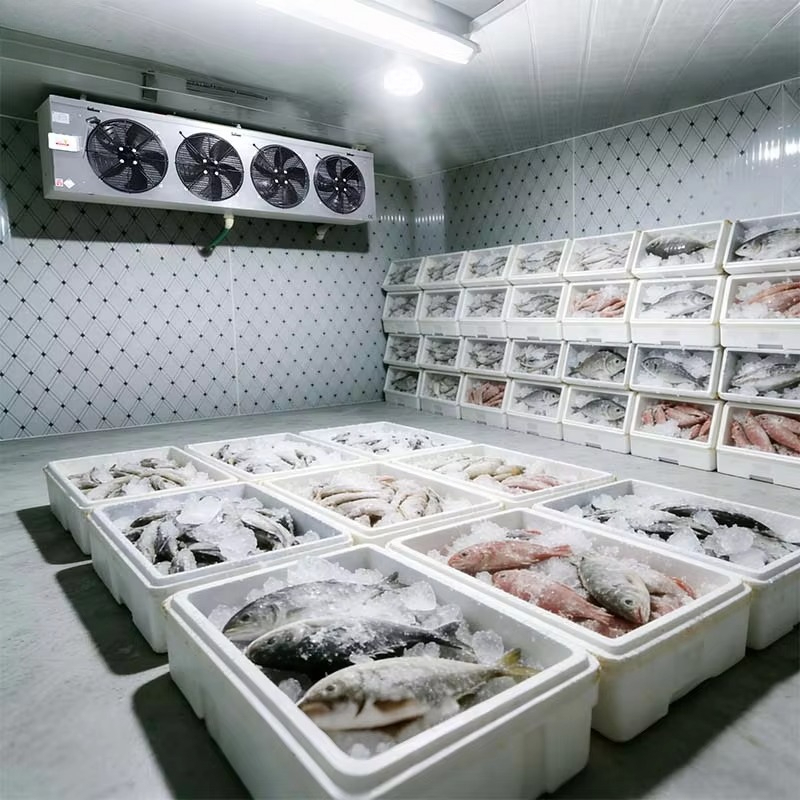 غرفة تبريد مخصصة لتخزين الأطعم - مراجعة Food Storage Food Safety وسعره